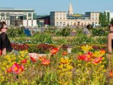 Printemps à Bordeaux